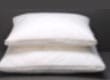 Essential Standard Pillows